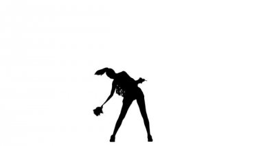Young cheerleader with pom-poms smiling at camera. Silhoutte