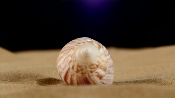 Unusual pink marine seashell on sand, rotation, close up — Stock Video