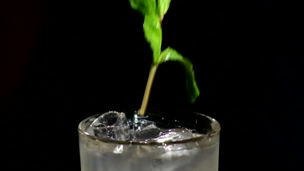 Bartender decorate Front cocktail, with mint. close up — Stock Video