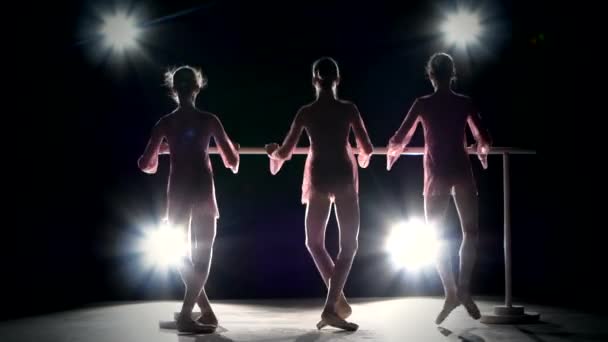 Drie ballet meisjes in Tutu poseren bij ballet Barre — Stockvideo