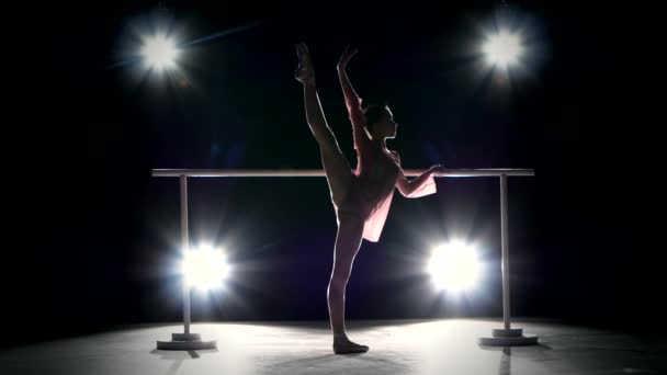 Pequena bailarina posando no ballet barre — Vídeo de Stock
