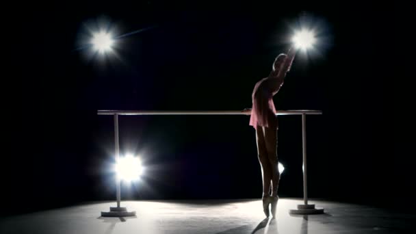 Beautiful little ballerina dancer in a pink dress on the barre — Stock Video