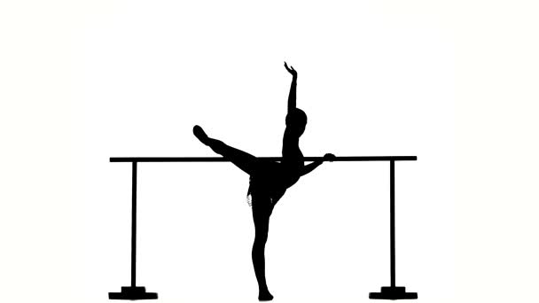 La pequeña bailarina posando en la barra de ballet. silueta — Vídeos de Stock