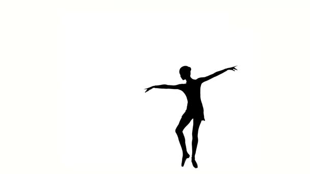 Piękne baletnica dziewczyna tancerz. Sylwetka — Wideo stockowe