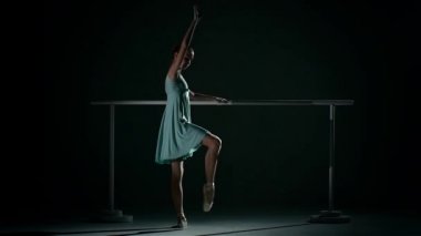 Young ballet dancer wearing an ablue tutu
