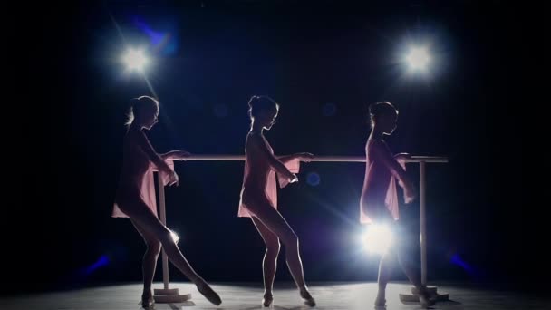 Chicas de ballet posando en la barra de ballet sobre negro. cámara lenta — Vídeos de Stock