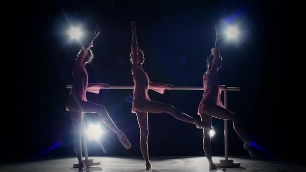 Маленькие балетные девочки в балетном баре. замедленное движение — стоковое видео