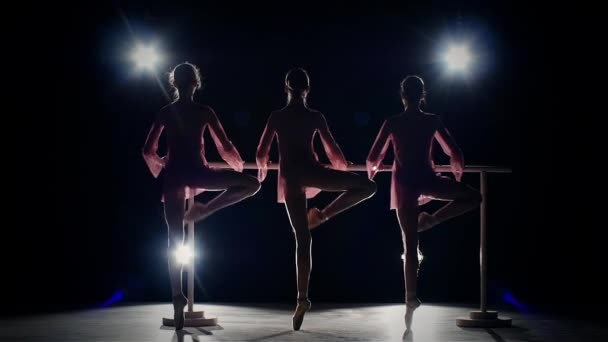 Niñas de ballet en vestido posando en la barra de ballet. cámara lenta. silueta — Vídeos de Stock