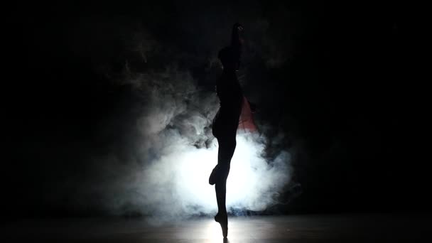 Балерина у великому залі. повільний рух. дим — стокове відео