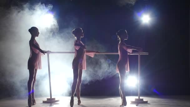 Chicas en vestido posando en la barra de ballet. cámara lenta. silueta — Vídeos de Stock