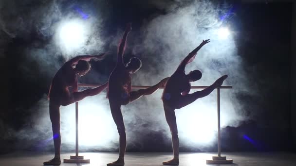 Meninas ballet em sapatos pontiagudos posando no ballet barre. câmara lenta — Vídeo de Stock