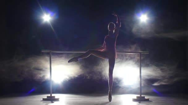 Ballerina danser in de buurt van de barre. Rook — Stockvideo