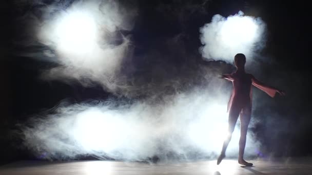 Bailarina de ballet en el estudio, humo. silueta. cámara lenta — Vídeos de Stock