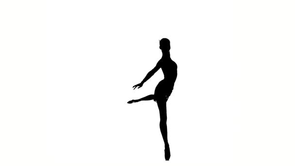 Expressieve ballerina meisje danser op danszaal in de buurt van Barre. Silhouet. Slow Motion — Stockvideo