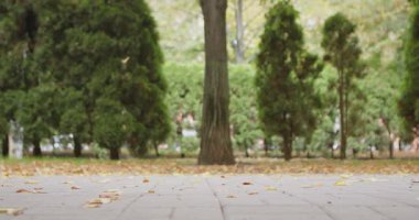 Siyah botları, bej ceketi ve yere düşmüş yaprakları olan bir adamın parka girerken yakın çekimi. Yavaş çekim.