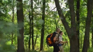 Sırt çantalı ve yürüyüş direkli iki adam gün boyunca yemyeşil bir ormanda yürüyorlar. Güneşli bir yaz gününde yürüyüş konsepti..