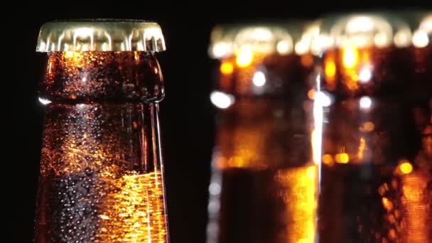 Botellas frías de cerveza sobre fondo negro — Vídeos de Stock