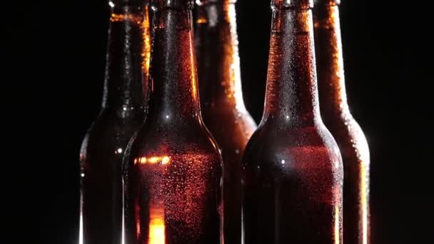 Bottiglie fredde di birra su sfondo nero — Video Stock