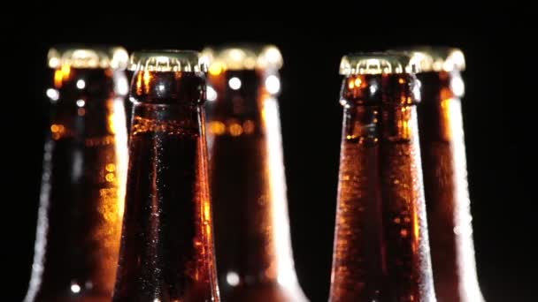 Garrafas frias de cerveja em fundo preto — Vídeo de Stock