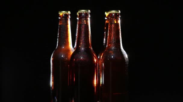 Botella fría de cerveza sobre fondo negro — Vídeos de Stock