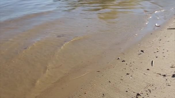 Playa de arena en el río . — Vídeos de Stock