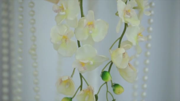 Hermosa decoración de la boda de flores sobre fondo blanco — Vídeo de stock