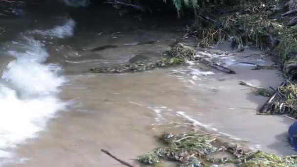 Ondas de fundo água suja da Ucrânia — Vídeo de Stock