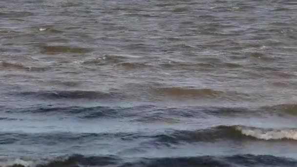 Фонові хвилі брудна вода з України — стокове відео