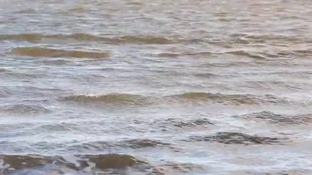 Onde di sfondo acqua sporca da ucraina — Video Stock