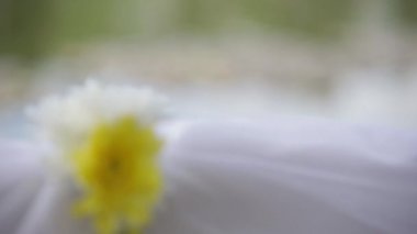 sokakta bir ip üzerinde sarı çiçek