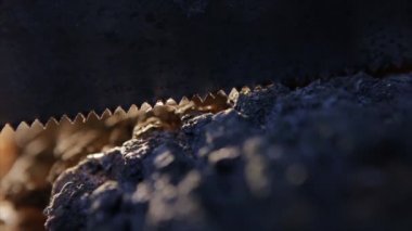 ahşap zemin üzerine tahta kesme tezgahlar