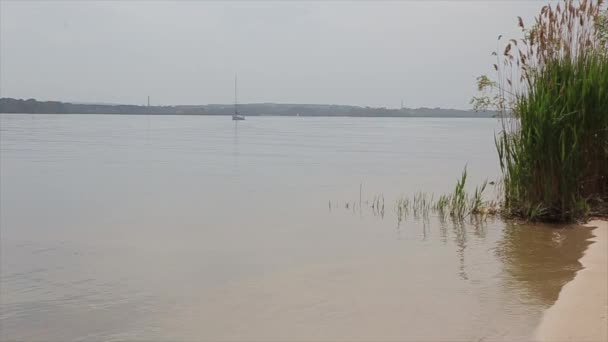 季节性景观与小河 — 图库视频影像