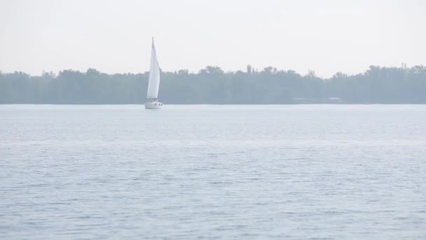 Вітрильне судно на маленькій річці — стокове відео