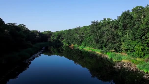 Панорама озера и леса. Воздушный выстрел. Украина, Днепропетровская область . — стоковое видео
