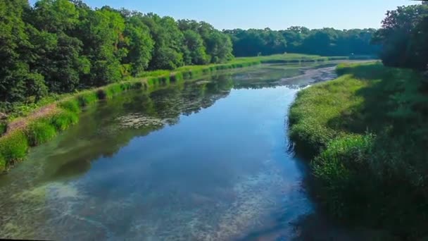 Čáp letí nad jezerem a les. Letecký snímek. Ukrajina, Dněpropetrovsk regionu. — Stock video