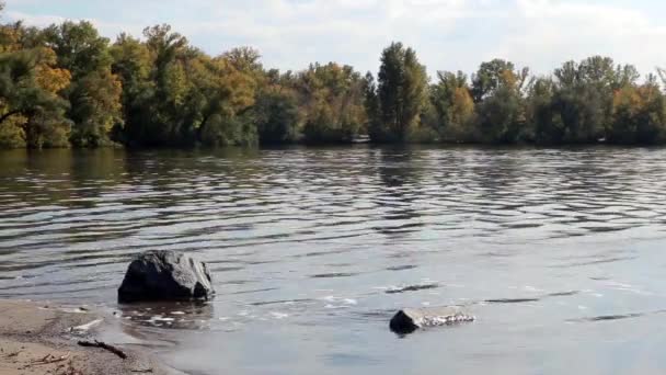 Large stone on bank of river. summers day — Stock Video