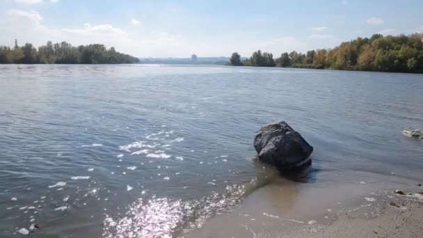 Grande pietra sulla riva del fiume. giorno d'estate — Video Stock