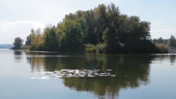 Våren träd med reflektion. Akvarell målning reflektioner av gröna träd i en flod. — Stockvideo