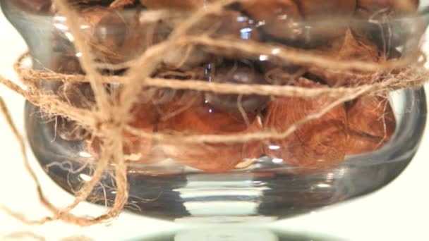 Top of little bottle with brown coffee beans and cinnamon close up — Stock Video