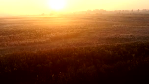 Lever de soleil sur la prairie dans un jour d'automne brumeux. Plan aérien . — Video