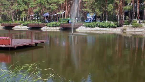 Borovic v hotelu a krásné jezero — Stock video