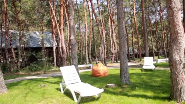 Área de relaxamento na floresta — Vídeo de Stock