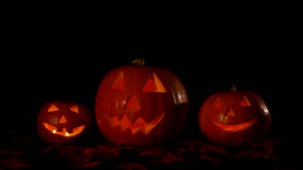 Hellowen pumpkin group — Stock Video