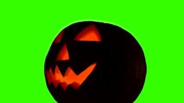 Helloween kabak yeşil ekran üzerinde