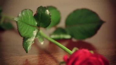 Masadaki kırmızı güller