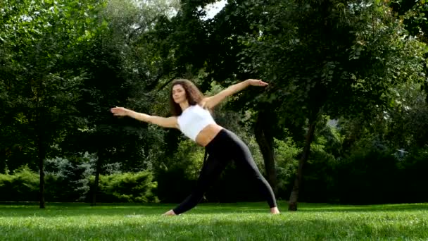 Mooie vrouw beoefenen van yoga in het park — Stockvideo