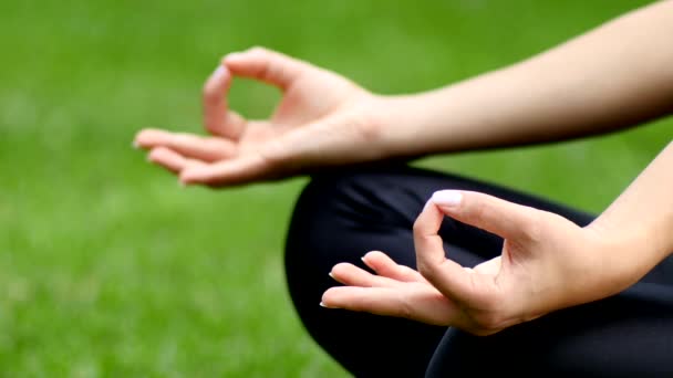 Nahaufnahme einer meditierenden jungen Frau in einem Park. Yoga. — Stockvideo