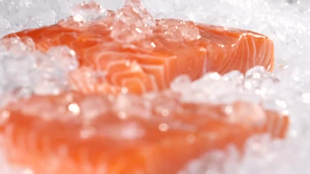 Крупный план ломтика красной рыбы на льду на рыбном рынке — стоковое видео