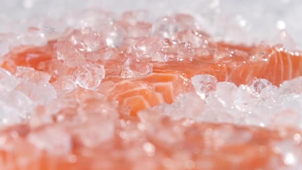Eis fällt auf den roten Fisch. Zeitlupe — Stockvideo