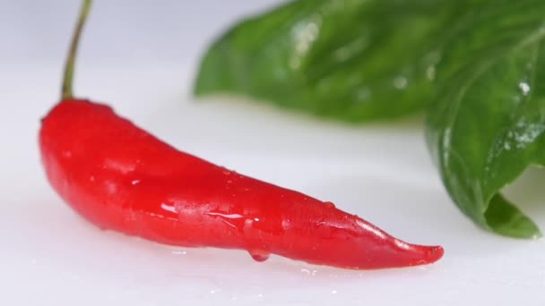 Drop of water drips on red pepper. Slow motion. — Stock Video